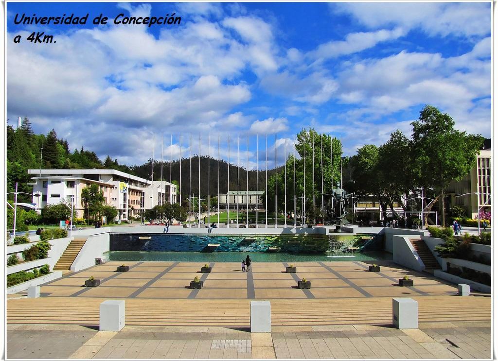 Casa San Valentin Ξενοδοχείο Concepción Εξωτερικό φωτογραφία